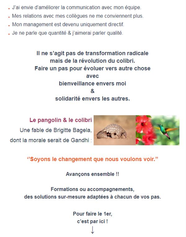 bagela-formation-vente-confinement-monde-apreste-pangolin2-covid-monde-apres-confinement-pandemie